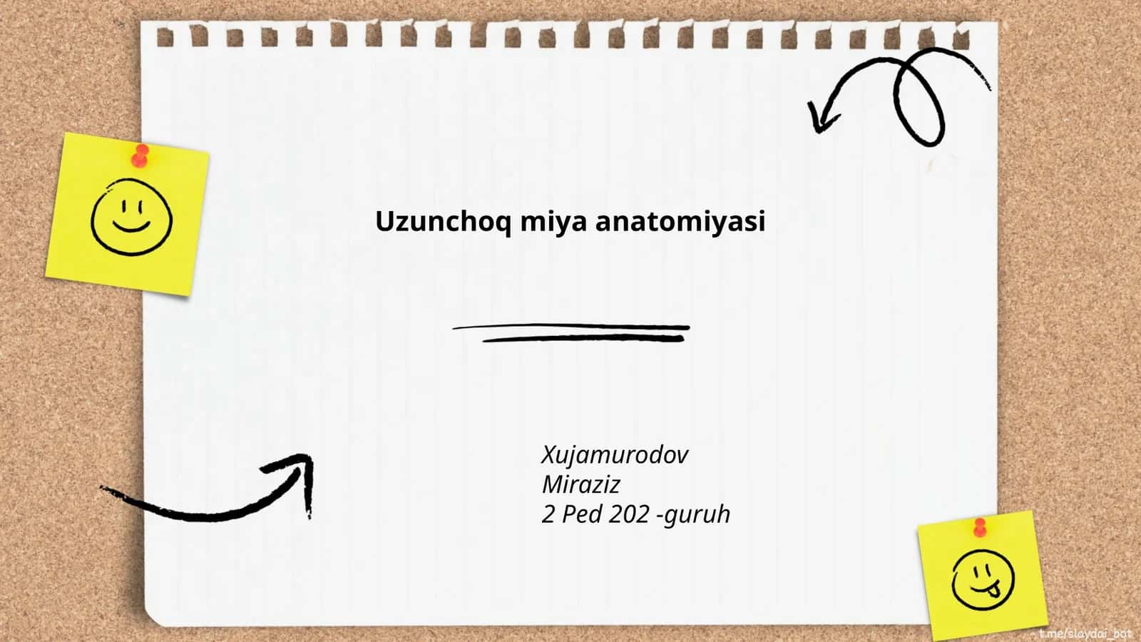 Uzunchoq miya anatomiyasi 1