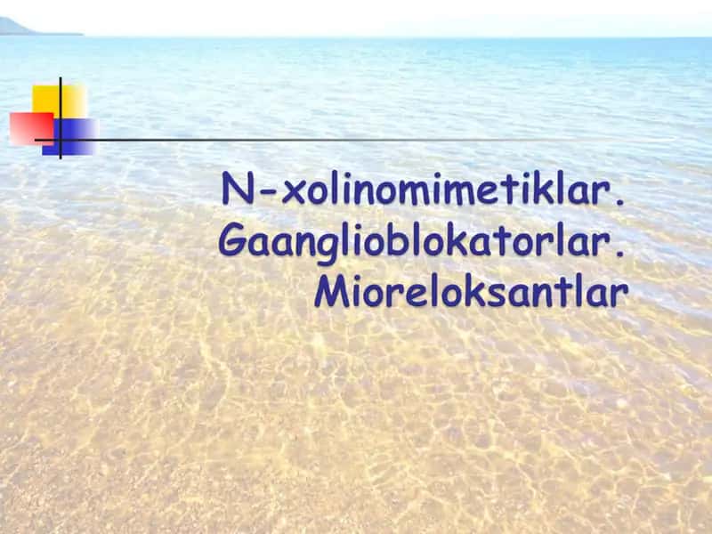 Nikotinga sezgir (N-xolinoretseptorlar) 1