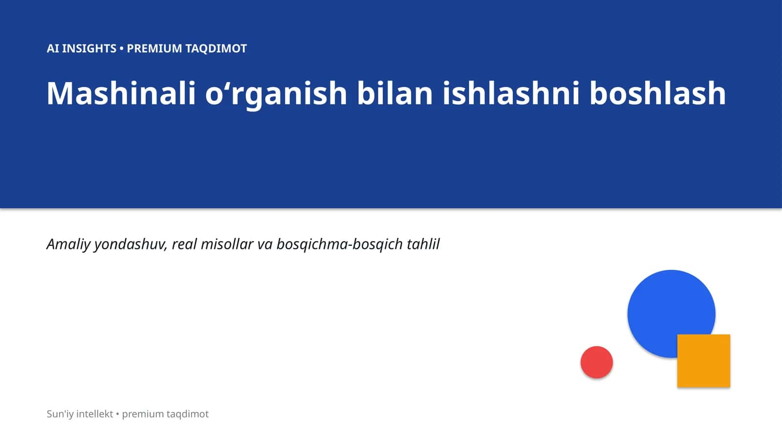 AI INSIGHTS • PREMIUM TAQDIMOT 1