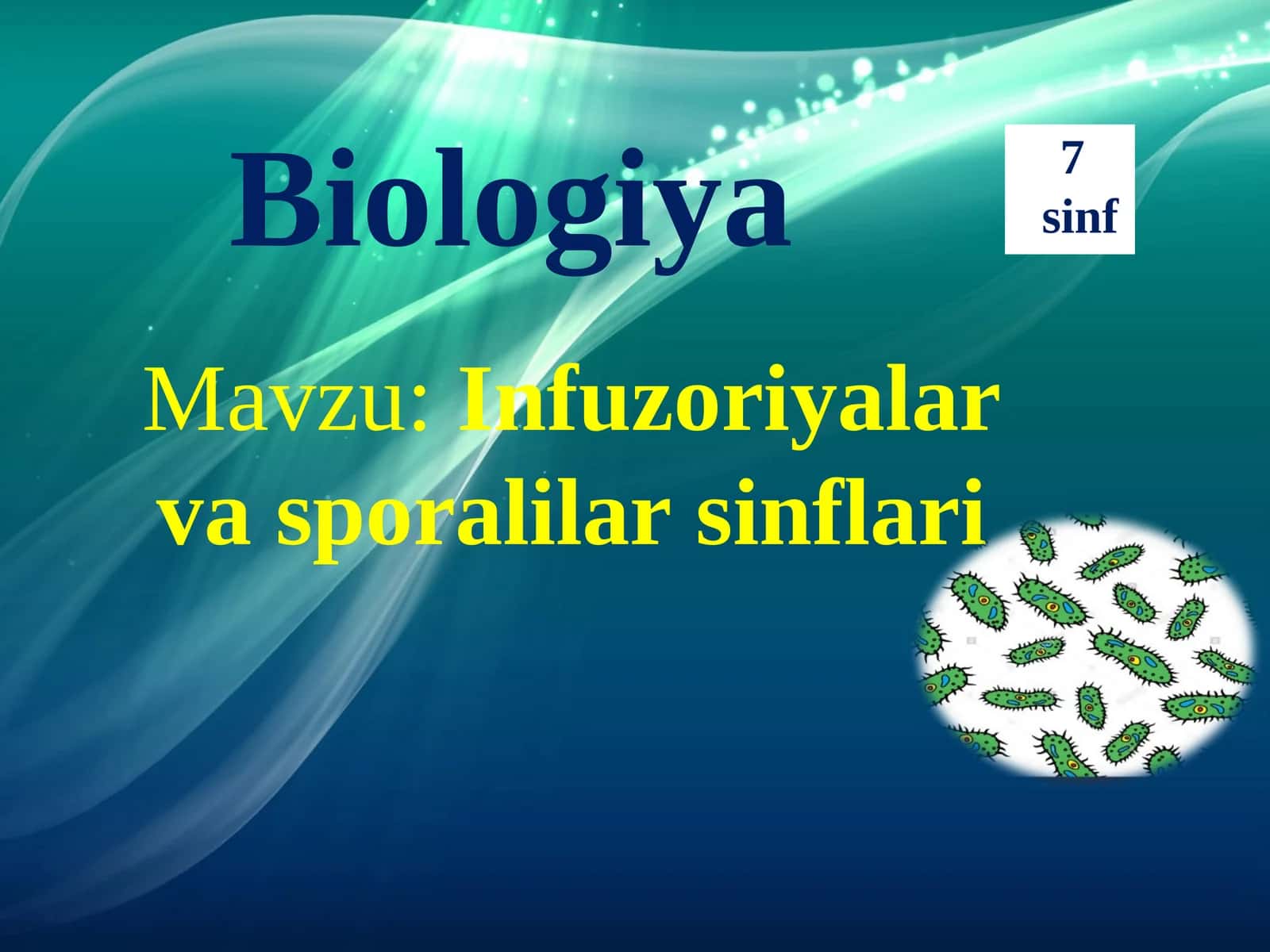 Infuzoriyalar va sporalilar sinflari 1