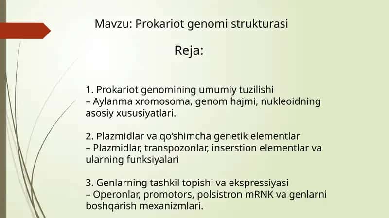 Prokariot genomi strukturasi 1