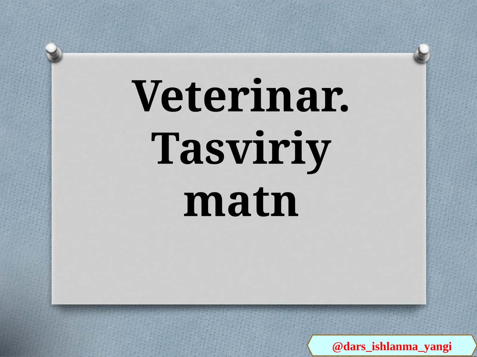 Veterinar.Tasviriymatn 1