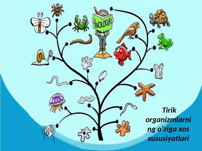 Tirikorganizmlarning o‘zigaxos xususiyatlari 1