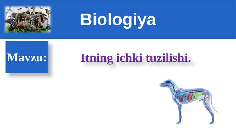 Biologiya DARS REJASI 1