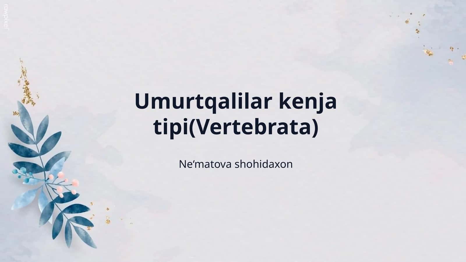 Umurtqalilar kenja tipi(Vertebrata) 1
