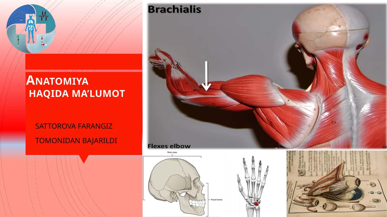 Anatomiya haqida qisqacha maʼlumot 1