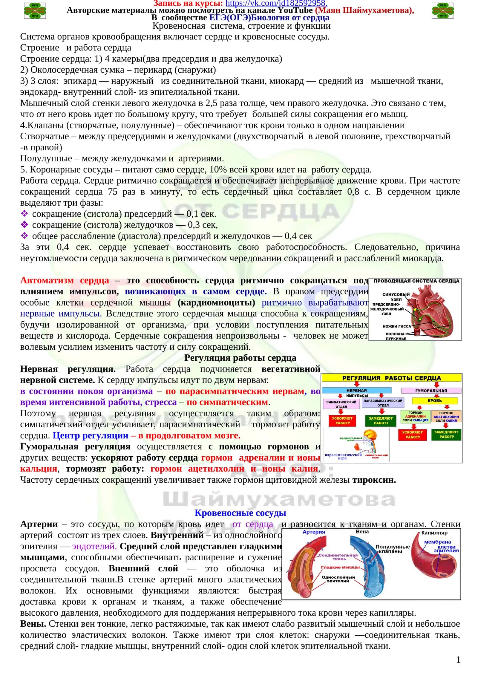 Система органов кровообращения 1