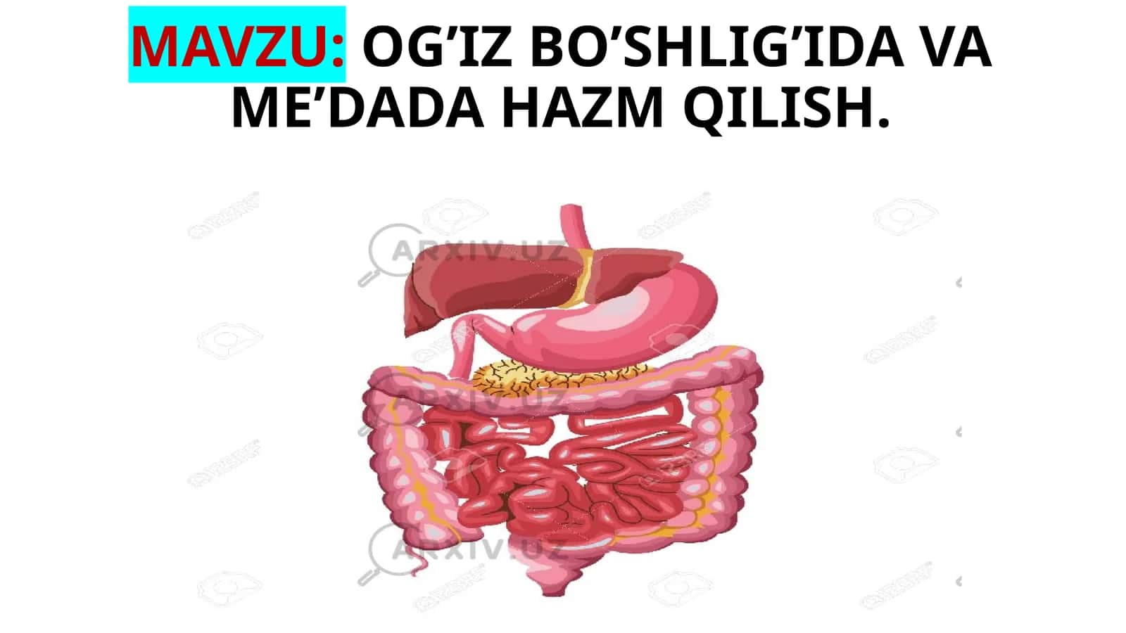 Ogʻiz boʻshligʻida va me’dada hazm qilish 1