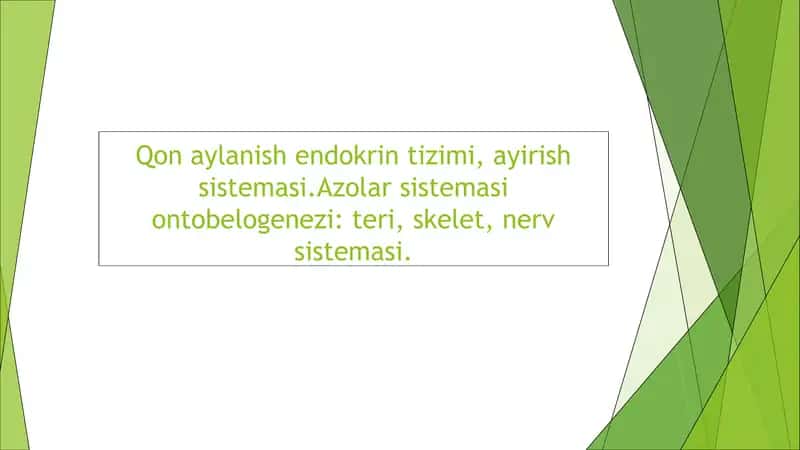 Qon Aylanish Sistemasi 1