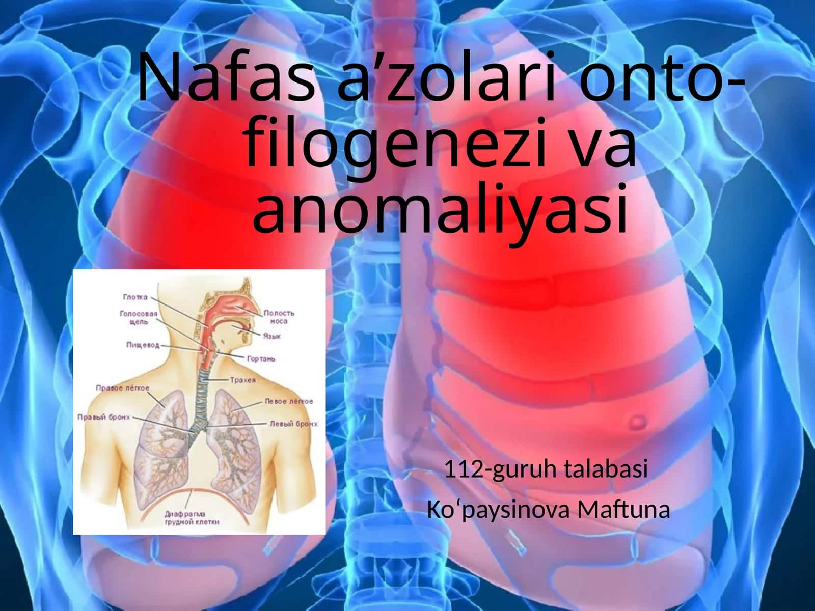 Nafasaʼzolarionto-filogenezivaanomaliyasi 1