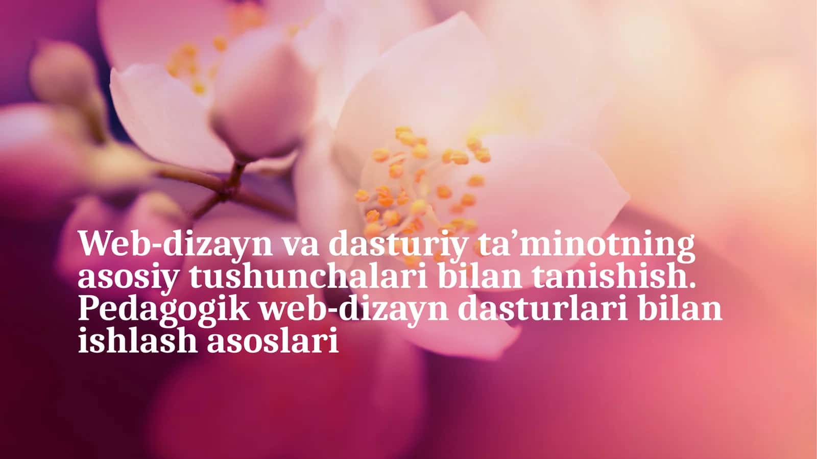 Web-dizayn va uning asoslari 1