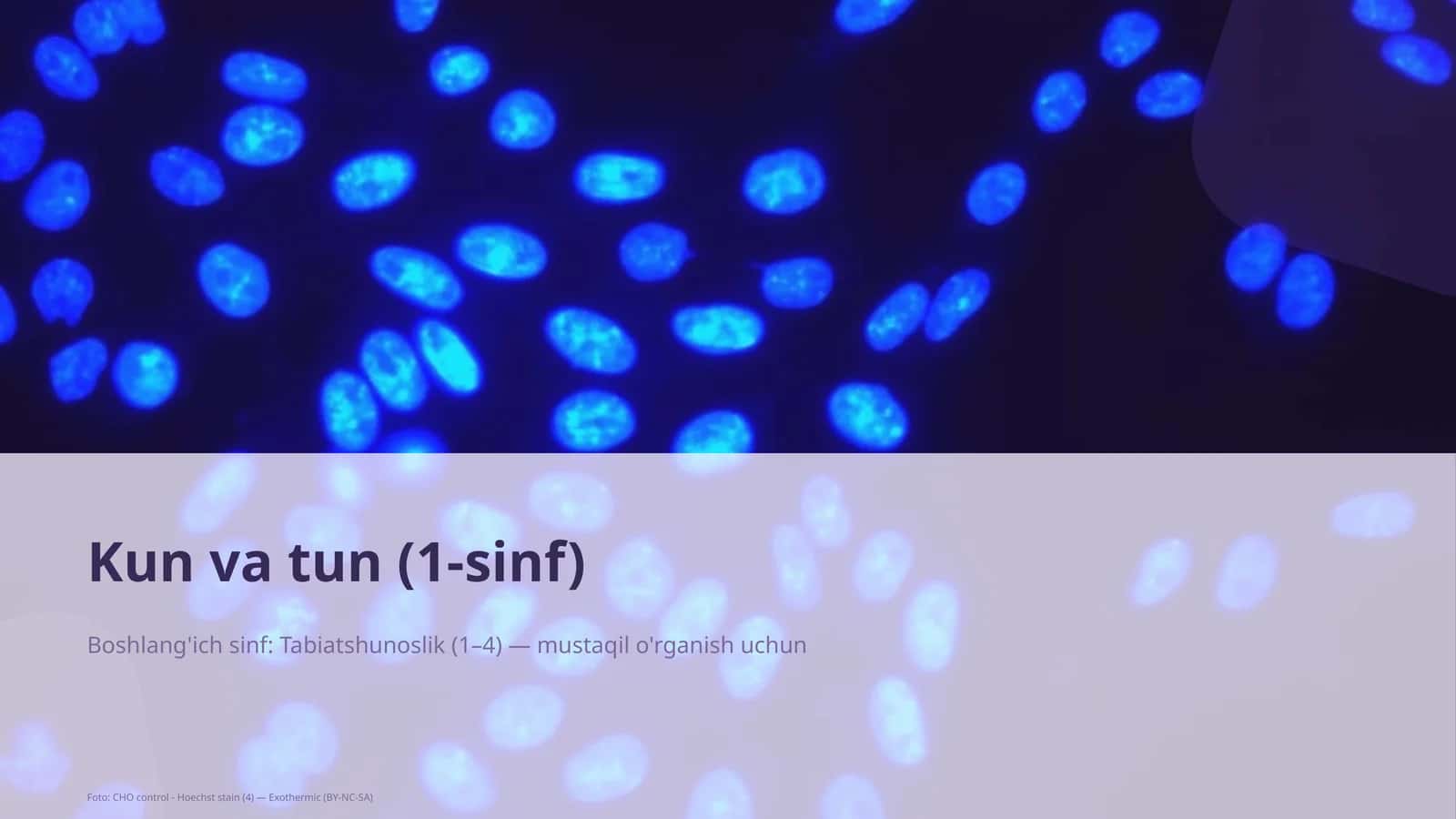 Kun va tun (1-sinf) 1