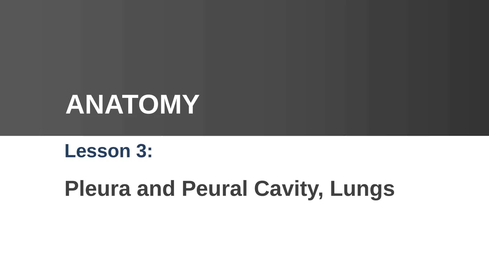 Pleura and Peural Cavity, Lungs 1