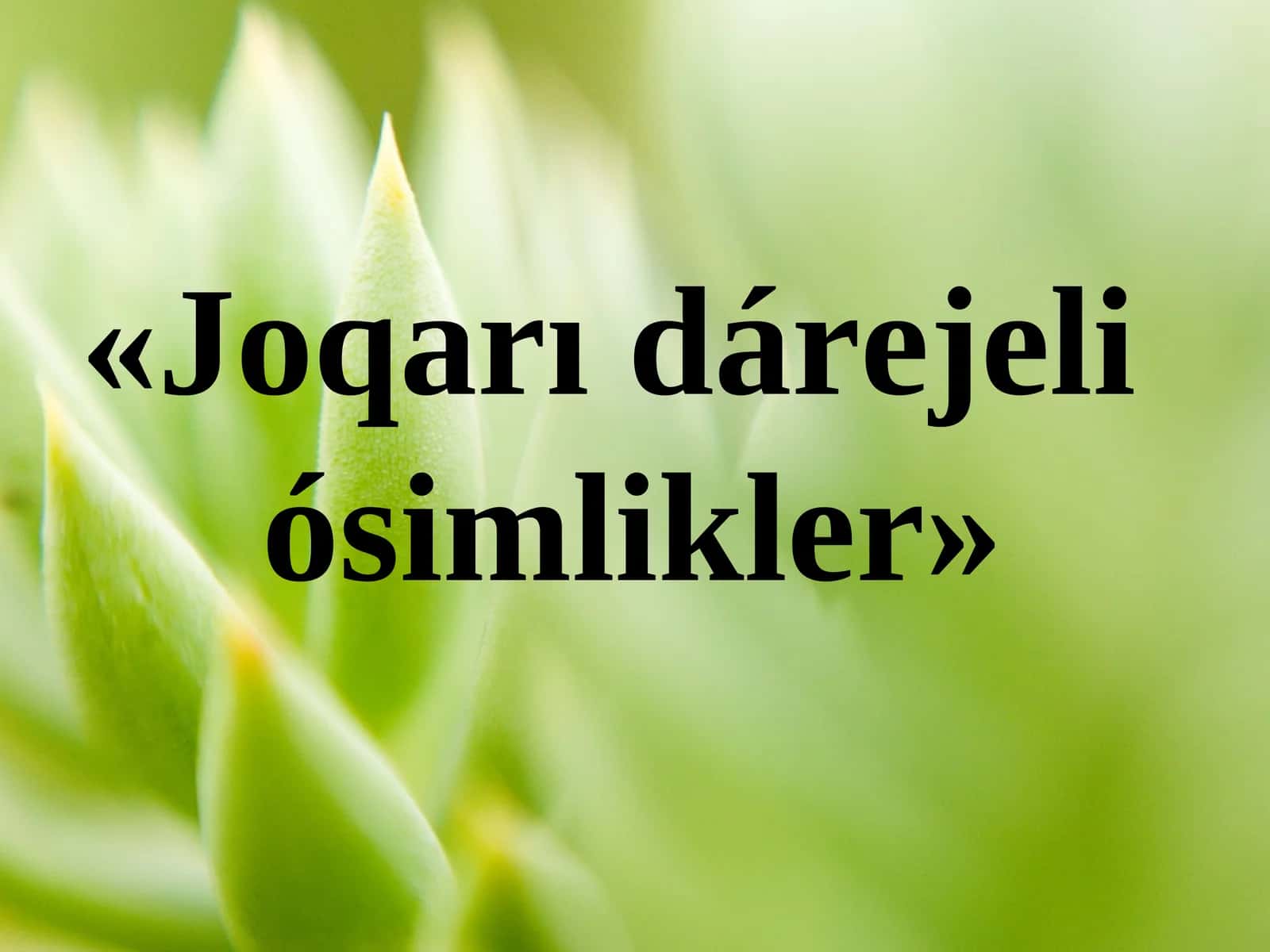 Joqarı dárejeli ósimlikler 1