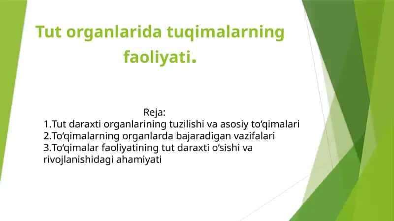 Tut organlarida tuqimalarning faoliyati 1