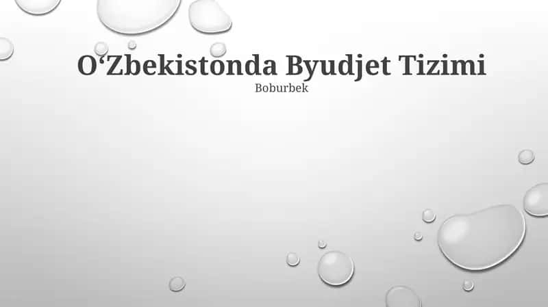 Byudjet Tizimi 1