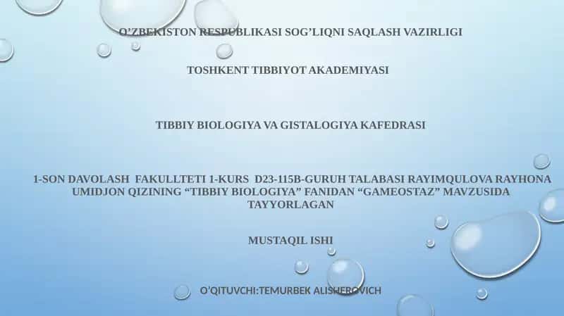 GAMEOSTAZ 1