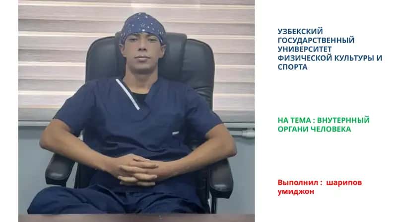 ВНУТЕРННЫЙ ОРГАНИ ЧЕЛОВЕКА 1