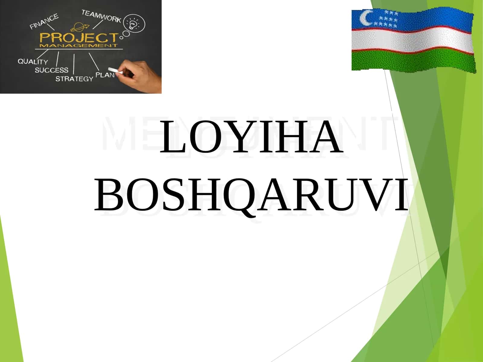 MENEJMENT LOYIHA BOSHQARUVI 1