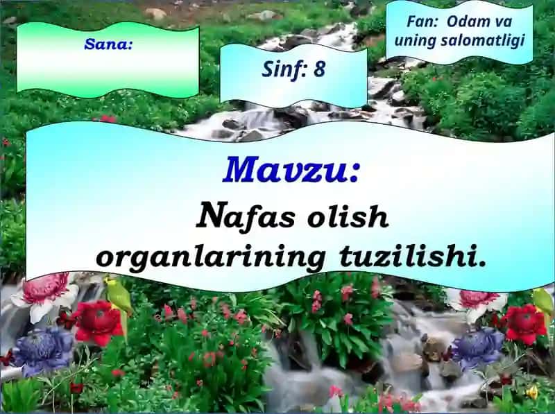 8-sinf odam va uning salomatligi