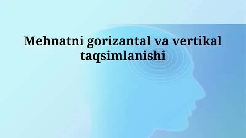 Mehnatni gorizantal va vertikal taqsimlanishi 1