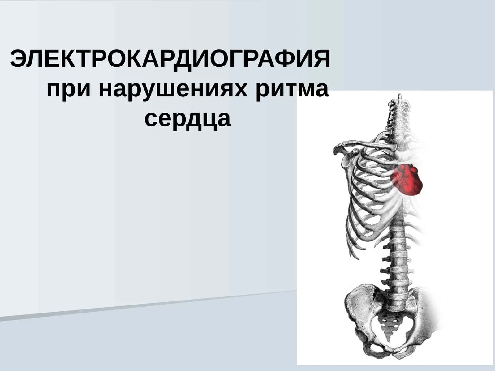 ЭЛЕКТРОКАРДИОГРАФИЯ 1