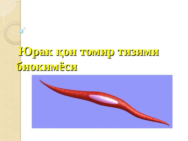 Юрак қон томир тизими биокимёси. 1