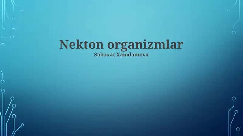 Nekton organizmlar 1