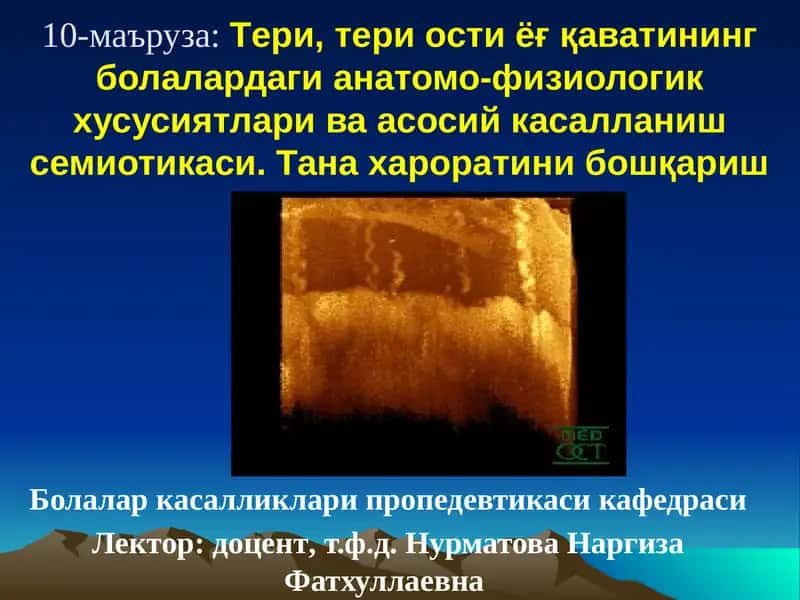 Тери тананинг анатомияси 1