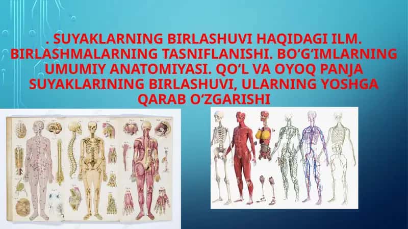 Suyaklarning birlashuvi haqida ilm 1