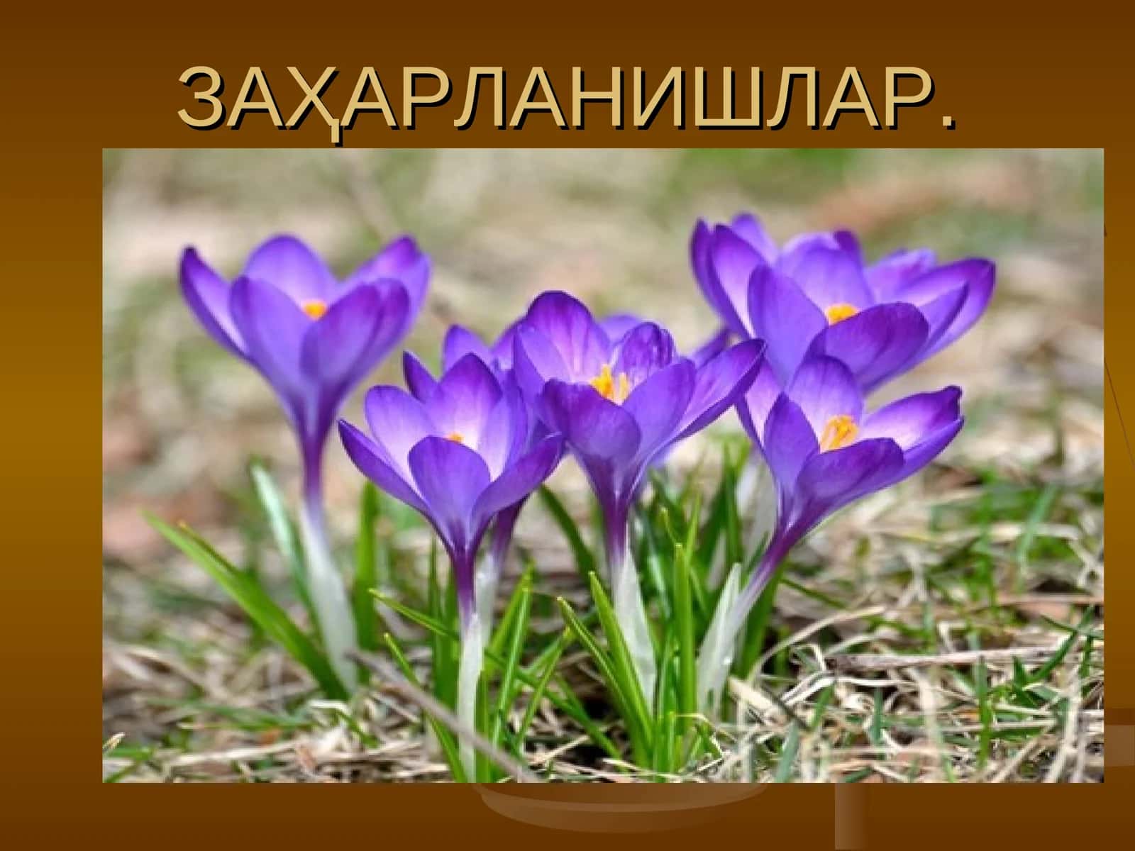 Заҳарланишлар 1