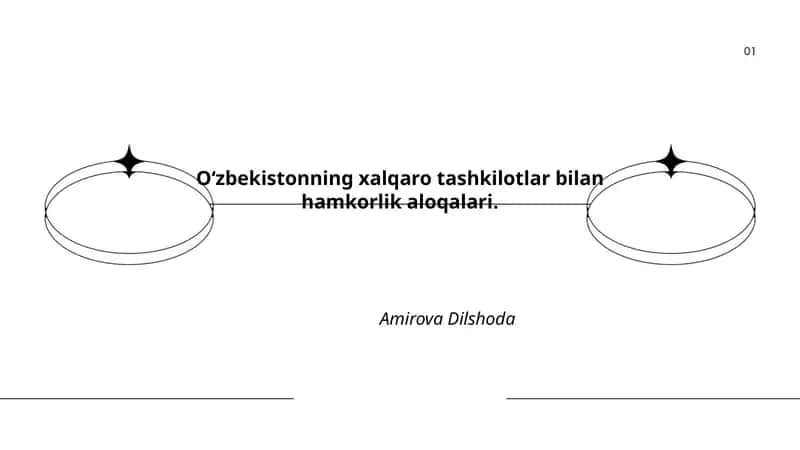 O‘zbekistonning xalqaro tashkilotlar bilan hamkorlik aloqalari 1