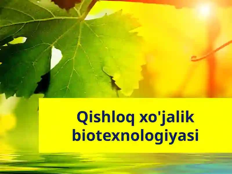 Qishloqxo'jalik biotexnologiyasi