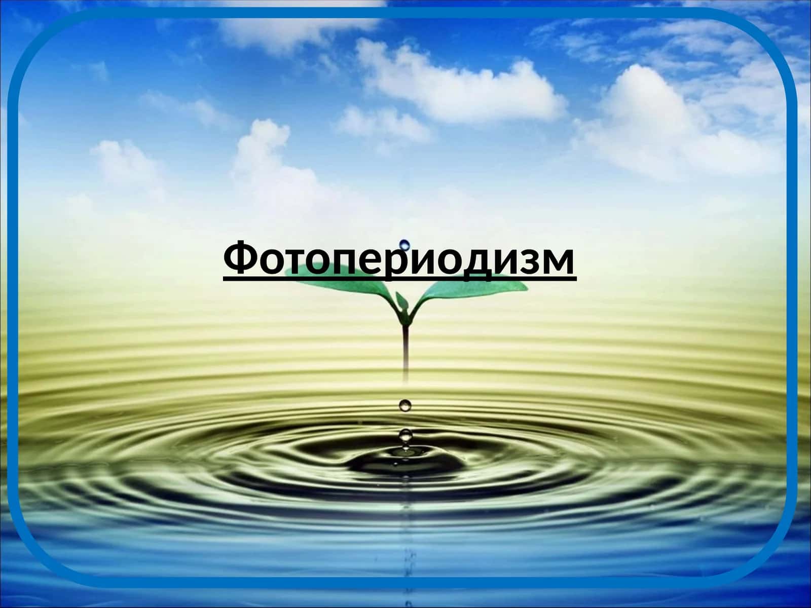 Фотопериодизм 1