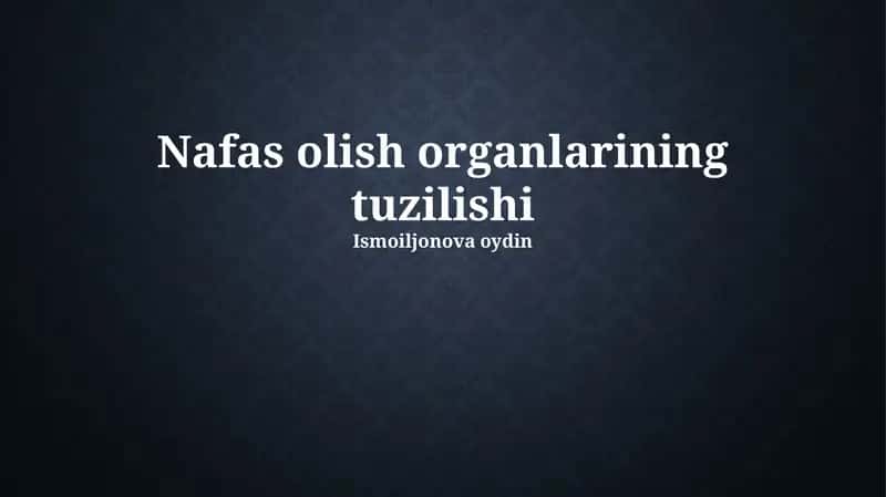 Nafas olish organlarining tuzilishi 1