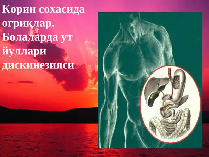 Корин сохасида огриқлар. Болаларда ут  йуллари дискинезияси 1