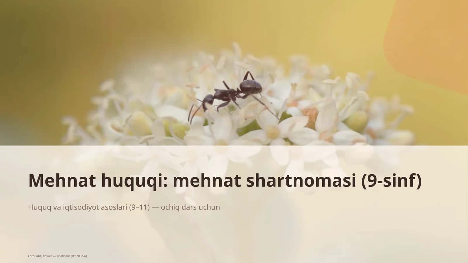 Mehnat huquqi: mehnat shartnomasi (9-sinf) 1