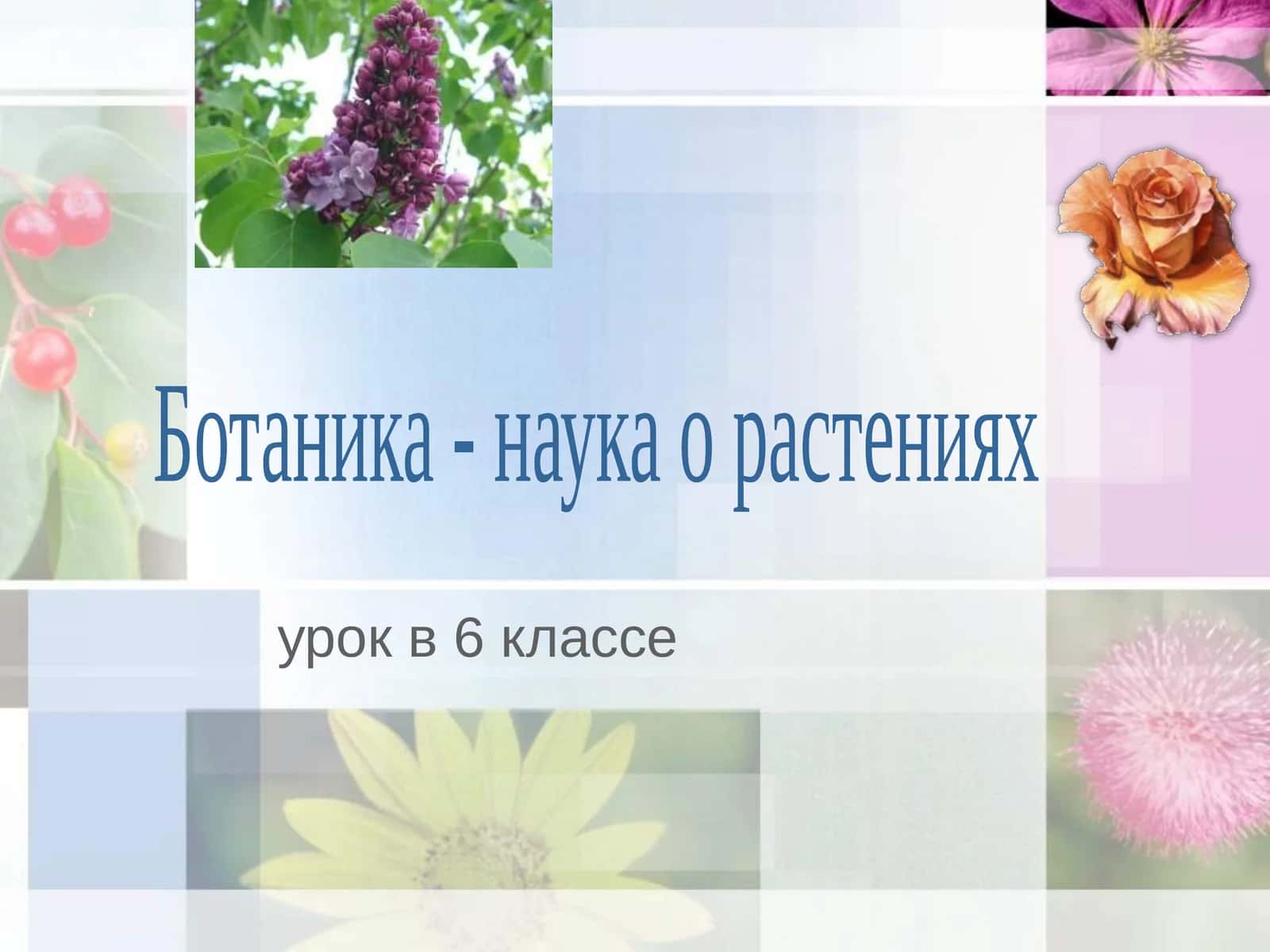 6-sinf Botanika dars ishlanma. Ботаника - наука о растениях 1