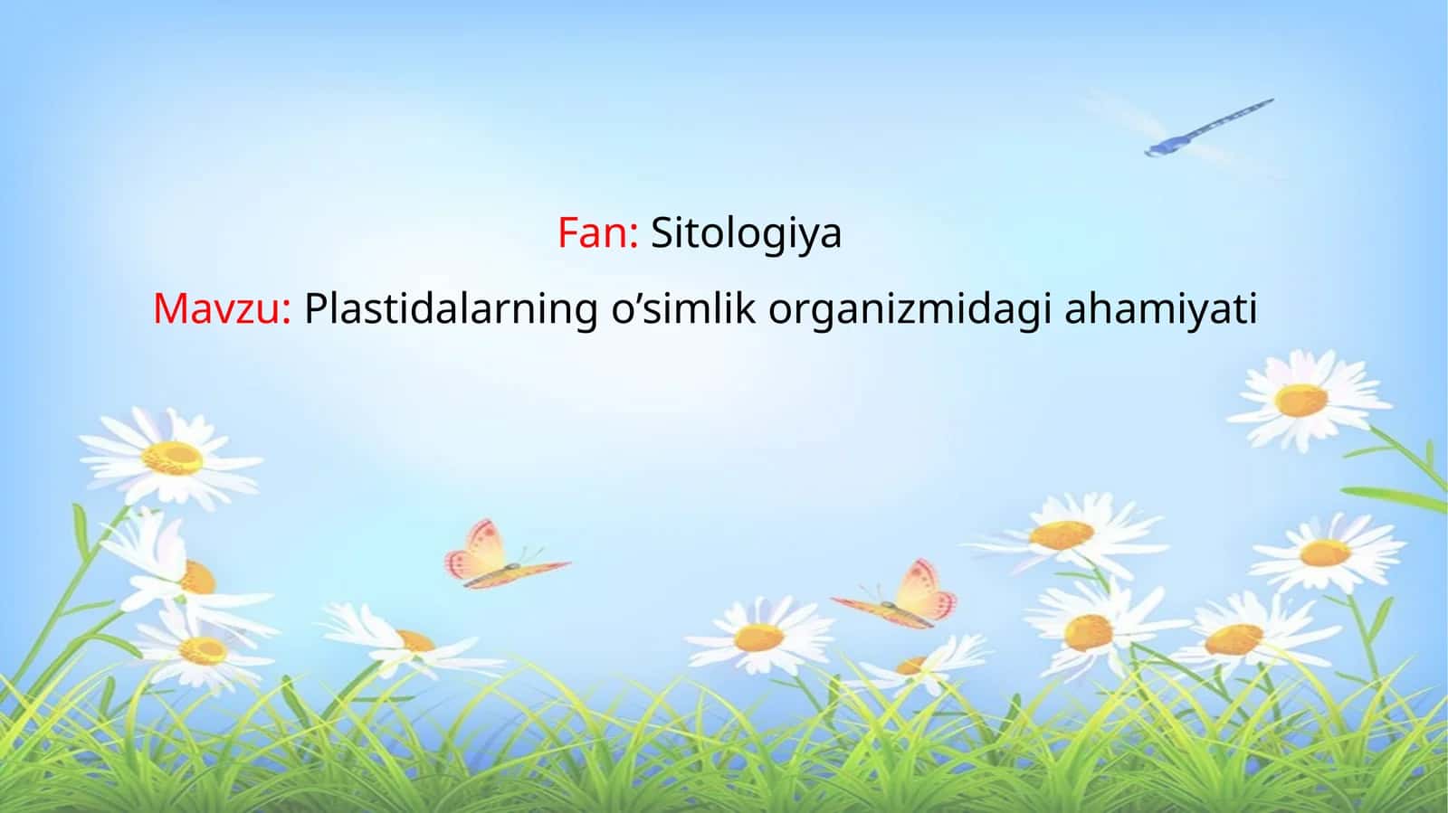 Plastidalarning o’simlik organizmidagi ahamiyati 1