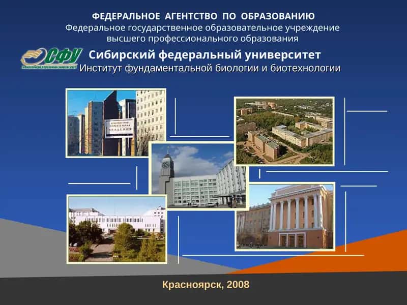 Электронный учебно-методический комплекс 1