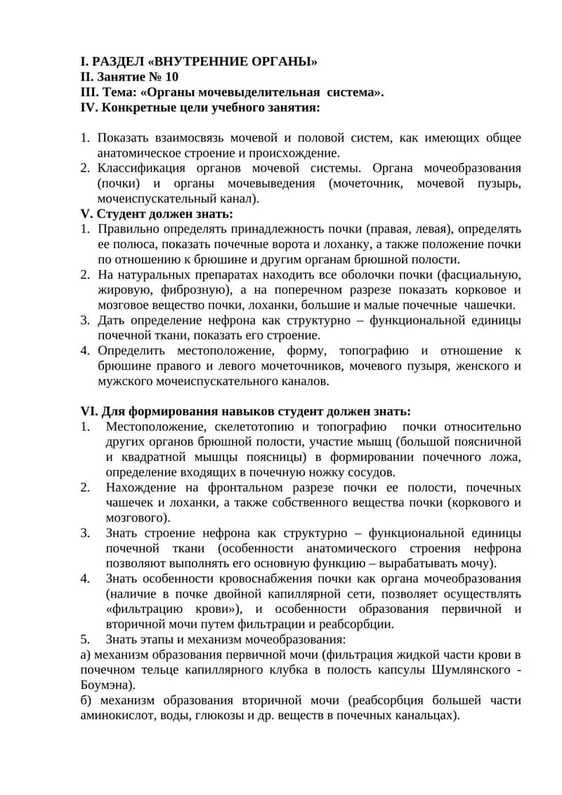 Органы мочевыделительная система 1