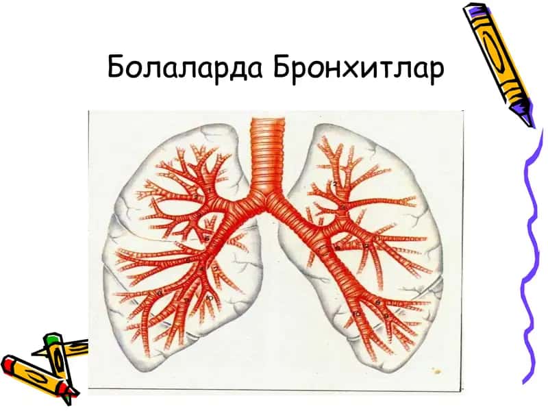 Болаларда Бронхитлар 1
