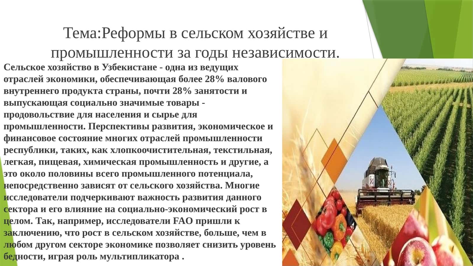 Сельское хозяйство в Узбекистане 1