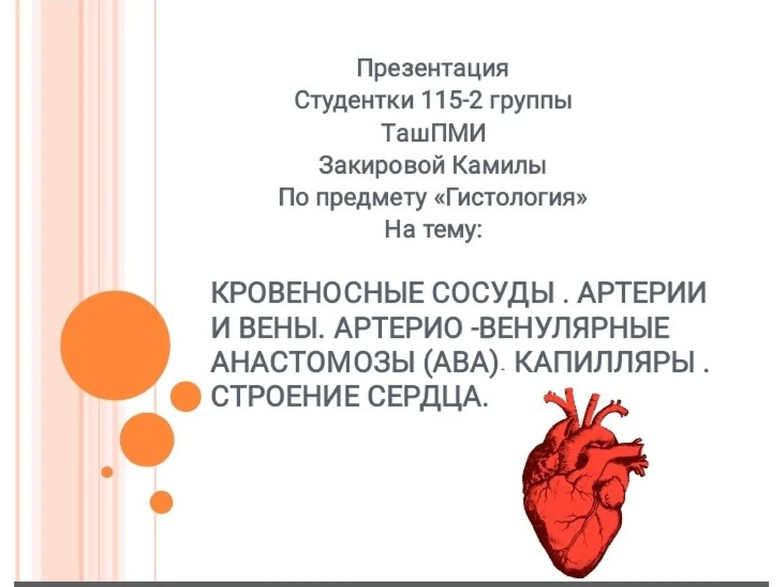 Сердечно-сосудистая система 1