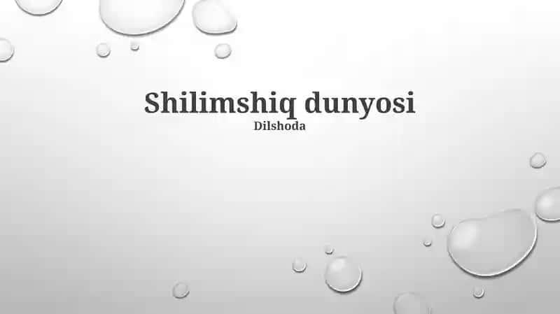 Shilimshiq dunyosi