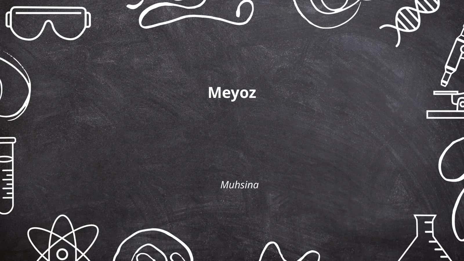 Meyoz 1