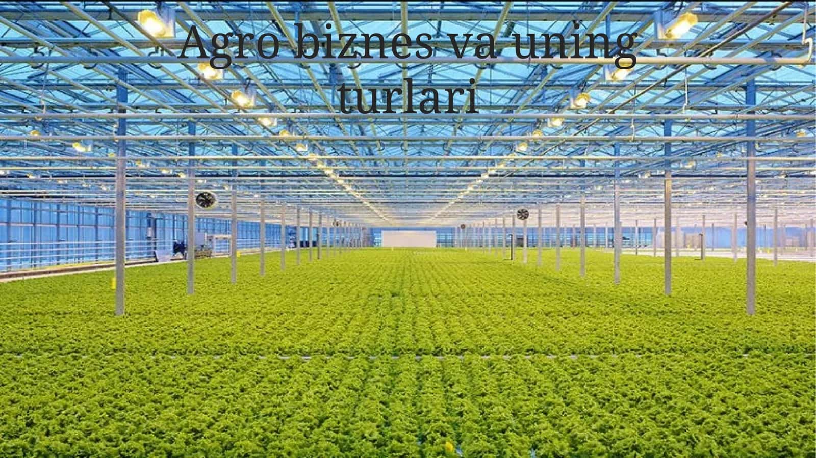 Agro biznes va uning turlari 1