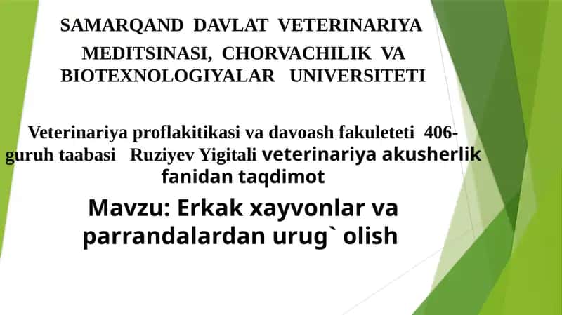 Erkak xayvonlar va parrandalardan urug` olish 1