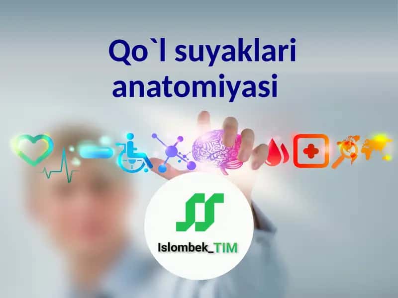 Qo`l suyaklari anatomiyasi 1