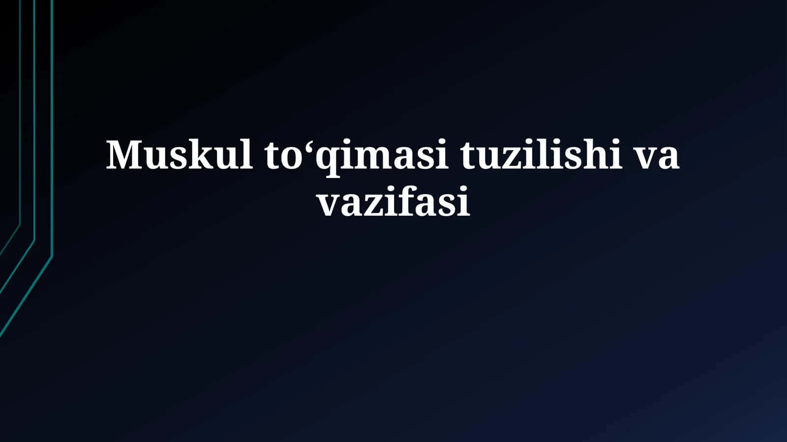 Mushak toʻqimasi tuzilishi 1